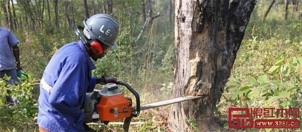 木材進口管制升級導致國內(nèi)市場供需矛盾日益突出，漲價已成必然，但繼續(xù)上升的空間不大
