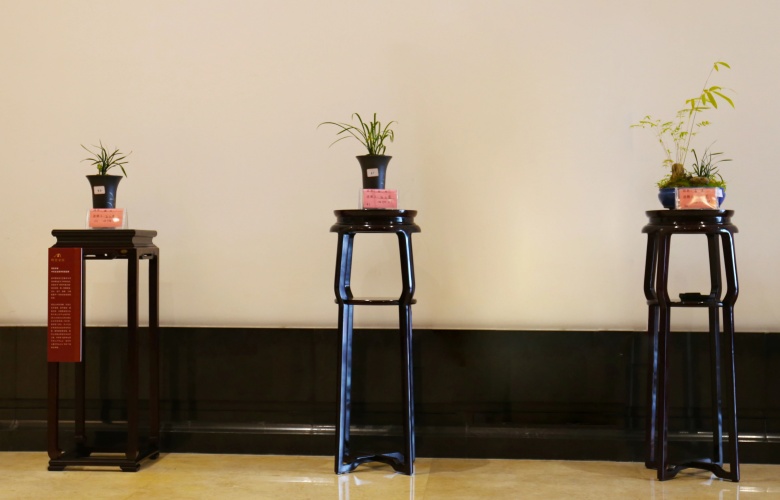 明堂家居傾情贊助第六屆中國（東陽）賞石文化藝術(shù)博覽會