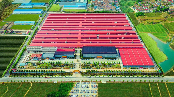中國品牌日 | 巧奪天工紅木30載鍛造品牌新力量，以匠心之火燃百年傳奇